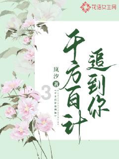 《我和七个俏房客》配置要求介绍