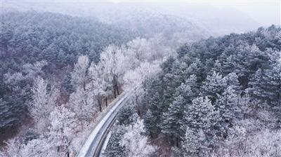 免费手机号码测吉凶打分游戏画面